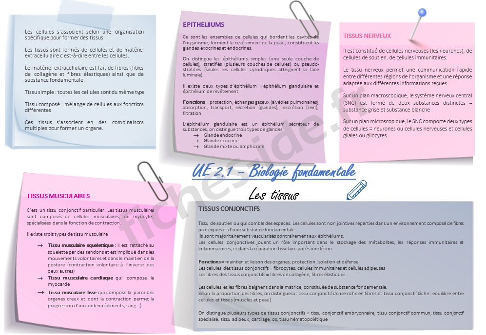 les tissus