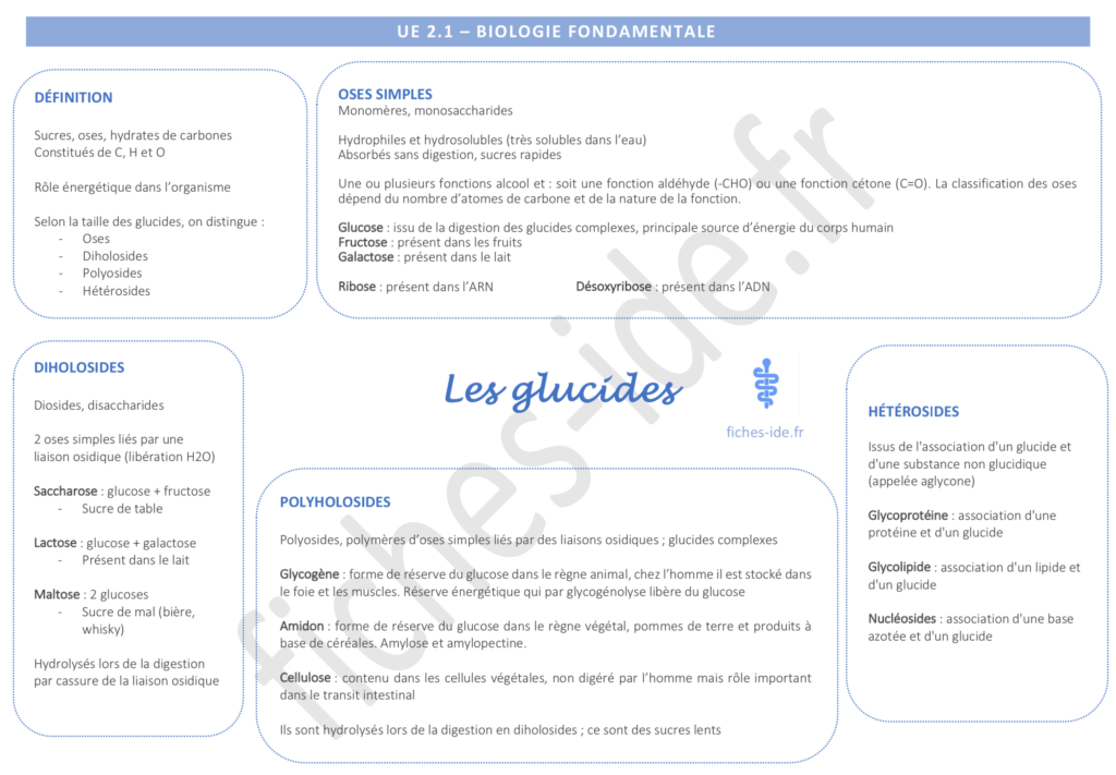 les glucides