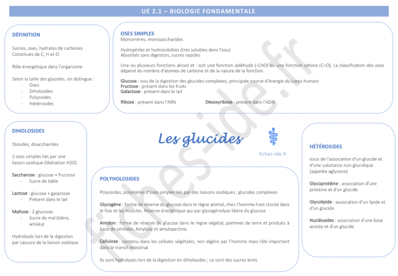 Glucide Proche De L Amidon Mots Fléchés