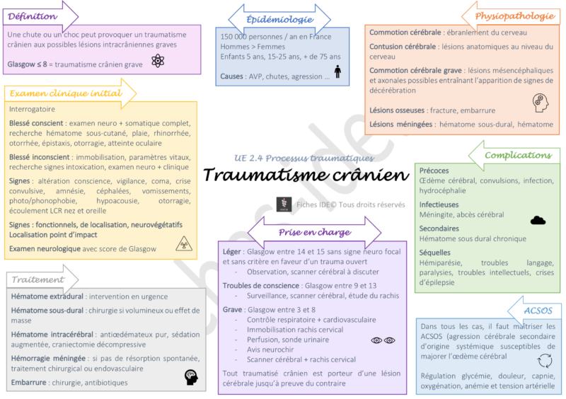 Traumatisme crânien  UE 2.4 Processus traumatiques  Fiches IDE