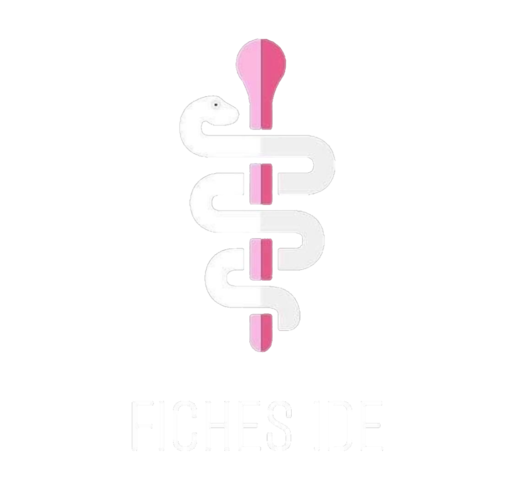 Logo fiches ide fiches ide
