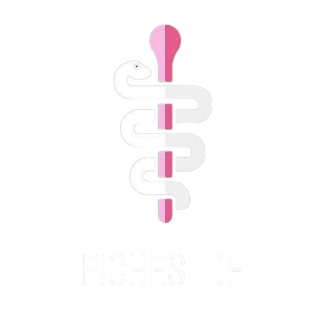 Fiches IDE Logo