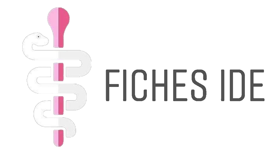 Fiches IDE Logo