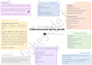 déterminants de la santé