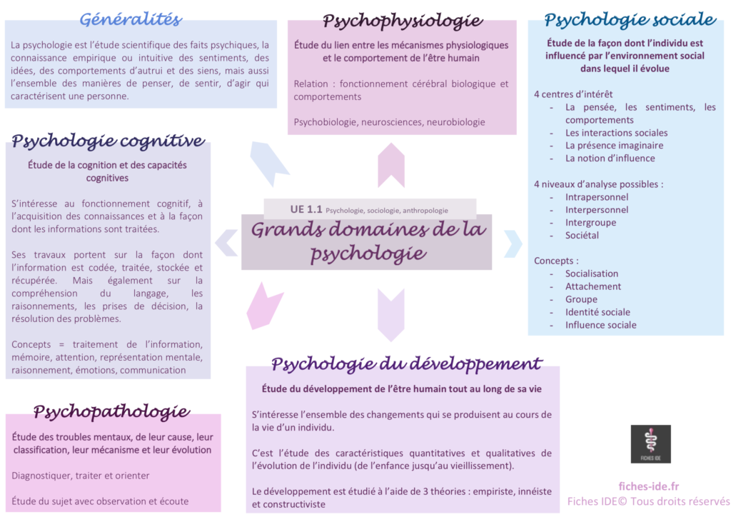 grands domaines de la psychiatrie
