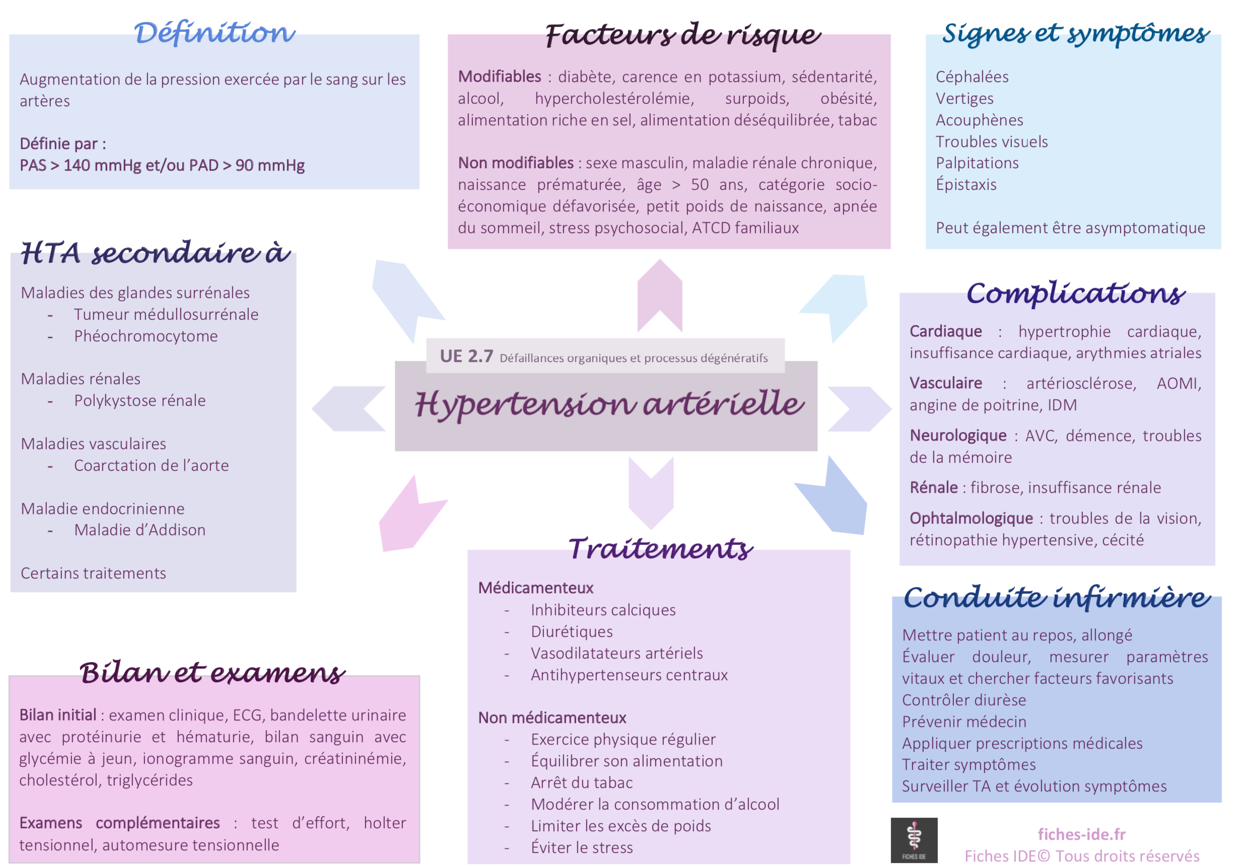 Fiche IDE Anatomie oreille Cours