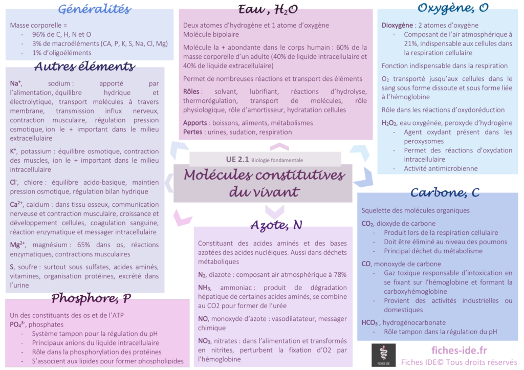 molécules constitutives du vivant