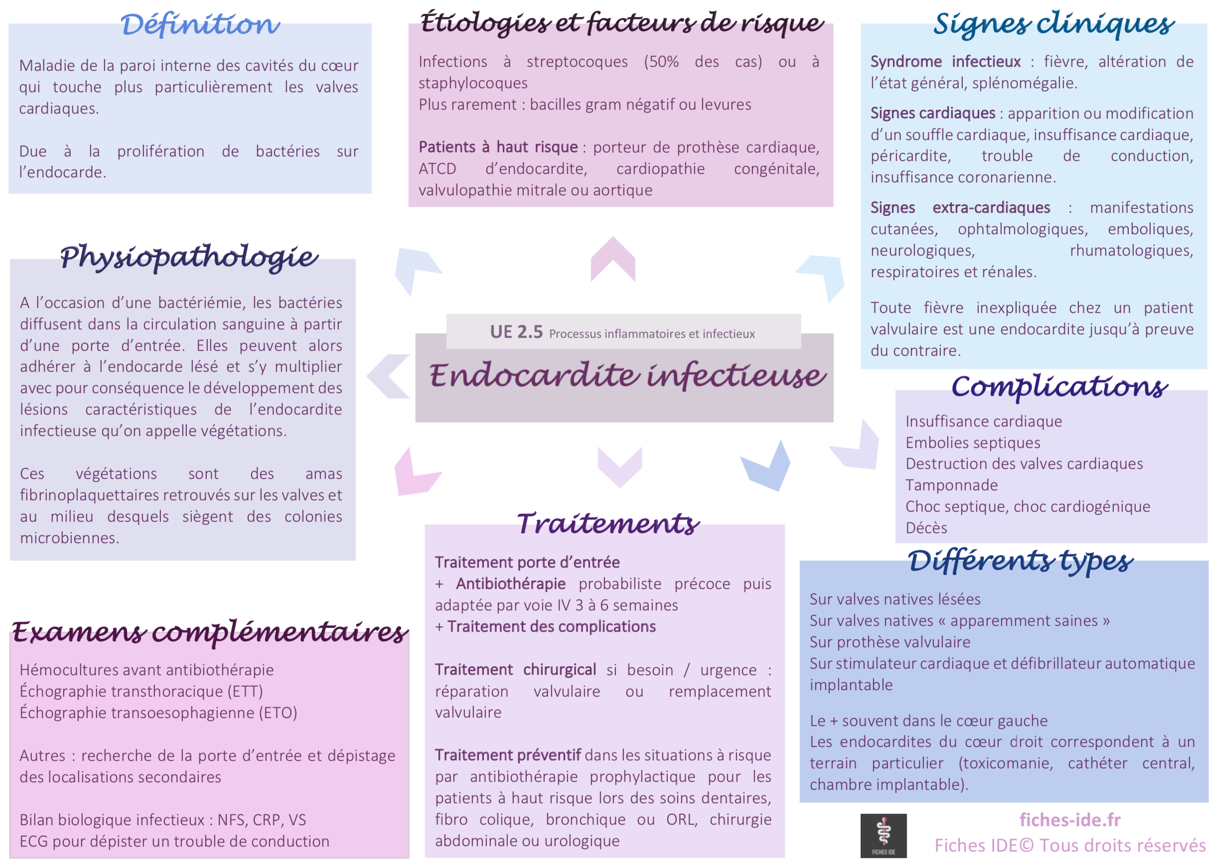 Endocardite infectieuse - symptômes, causes, traitements et prévention -  VIDAL