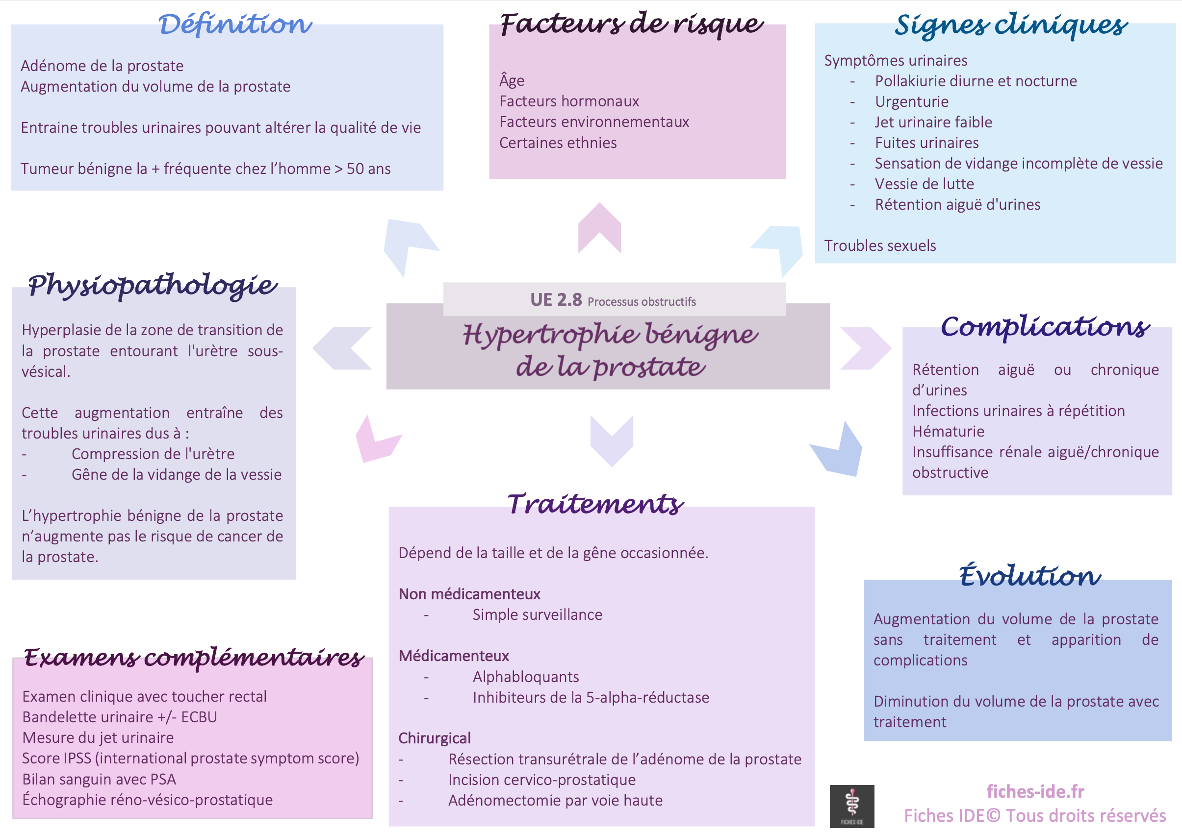 Urètre chez l'homme - Fiches IDE