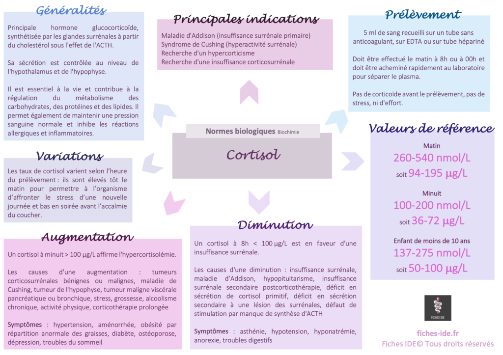 cortisol