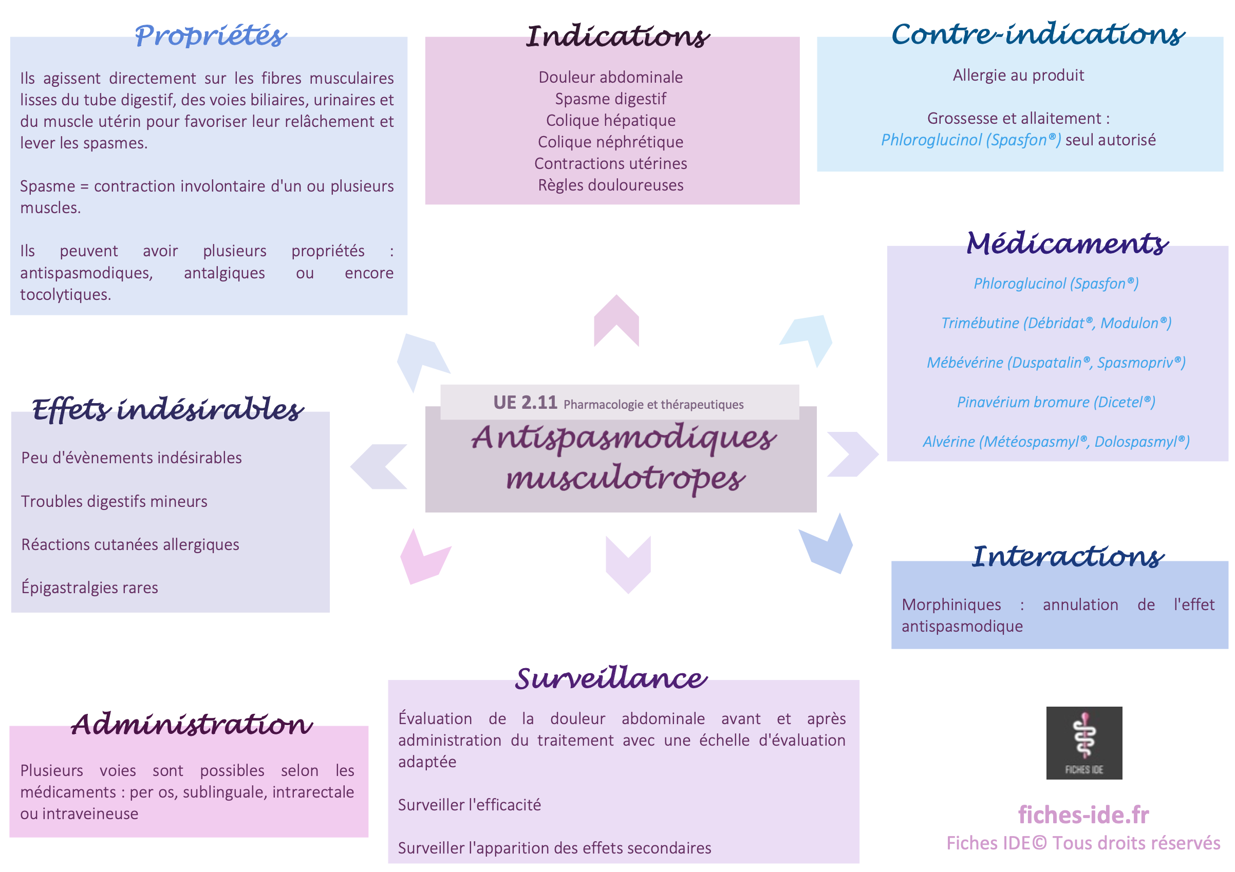 antispasmodiques musculotropes