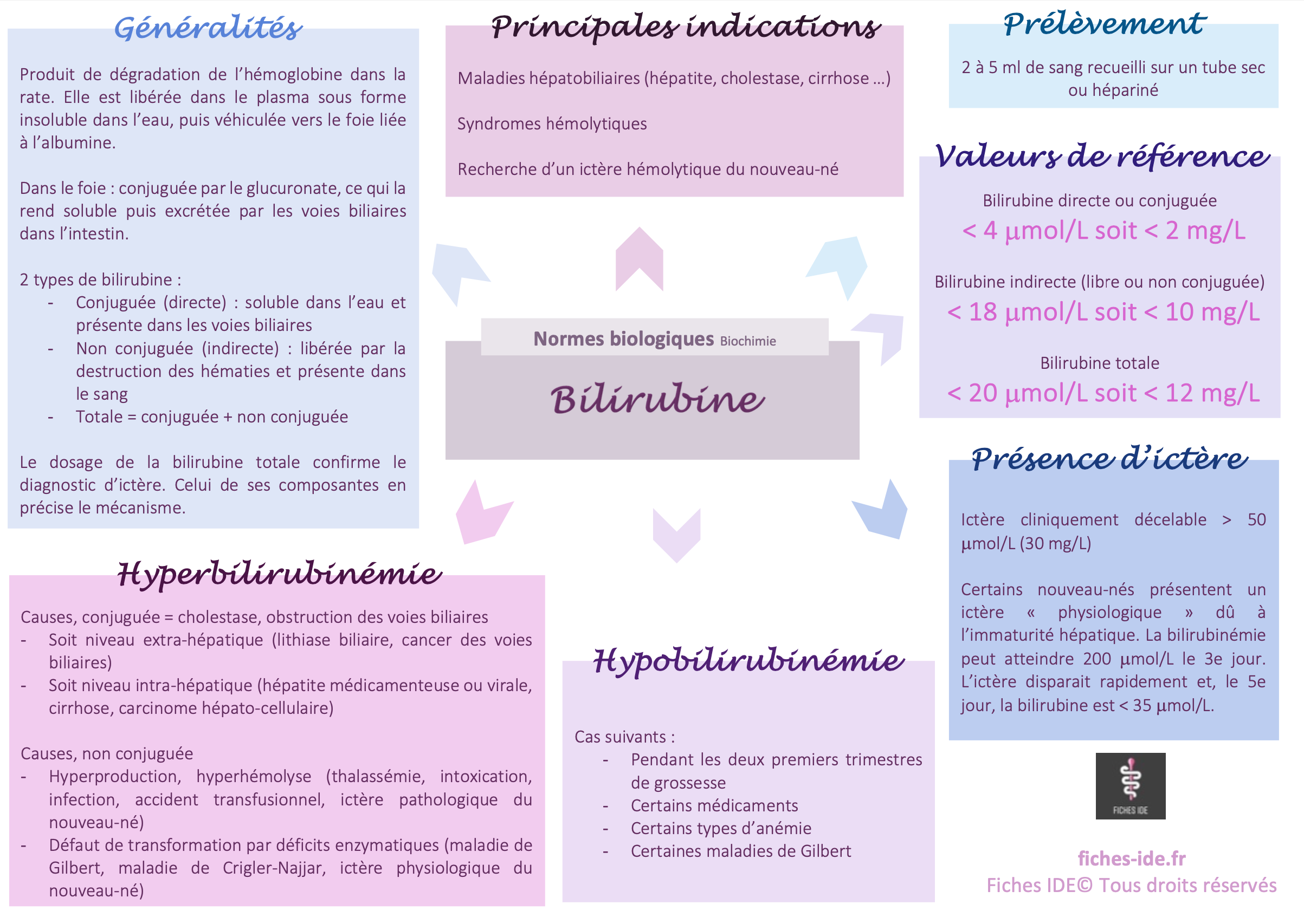 Bilirubine - Normes biologiques - Cours IFSI - Fiches IDE