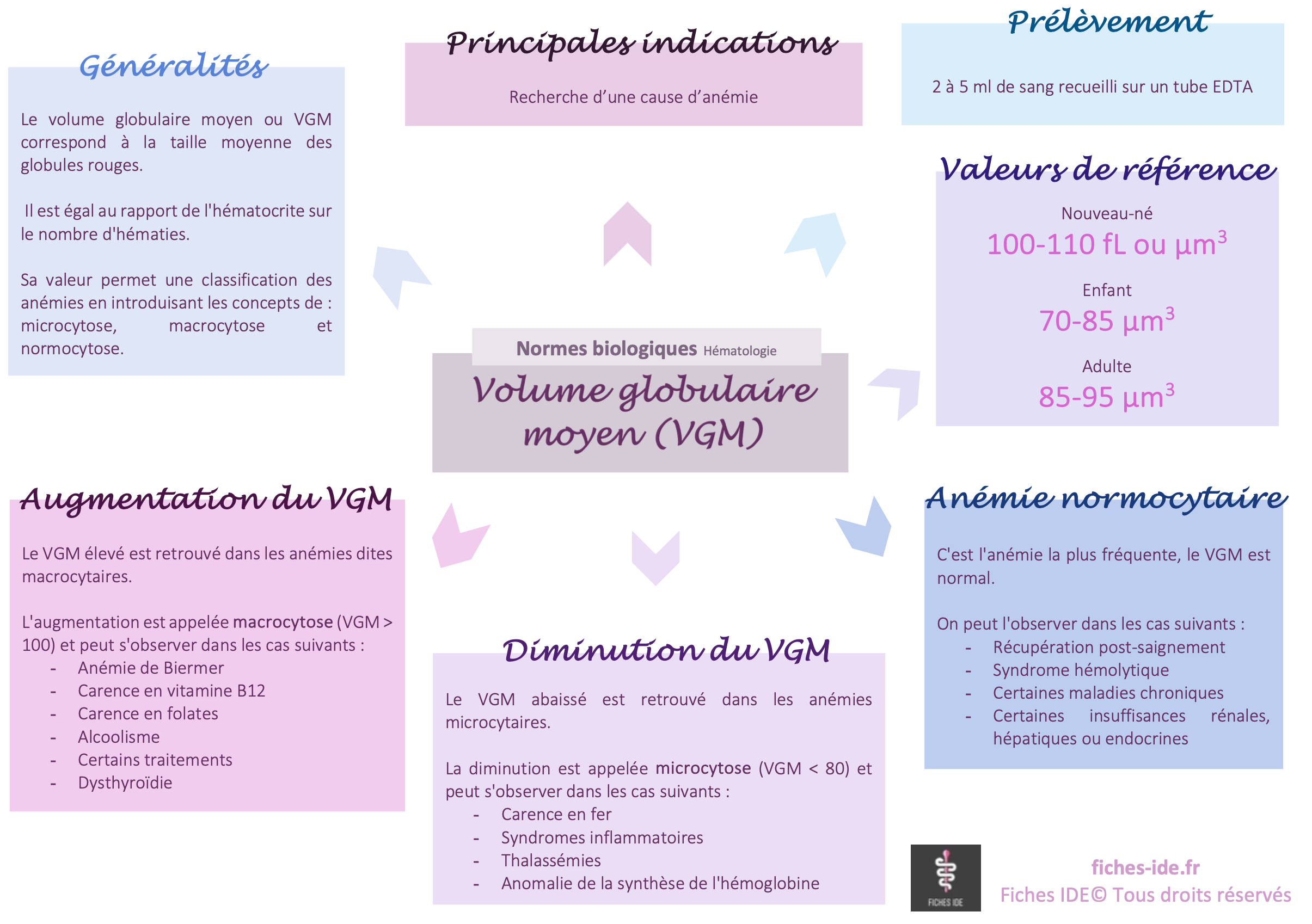 volume globulaire moyen (VGM)