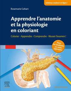 Apprendre l’anatomie et la physiologie en coloriant