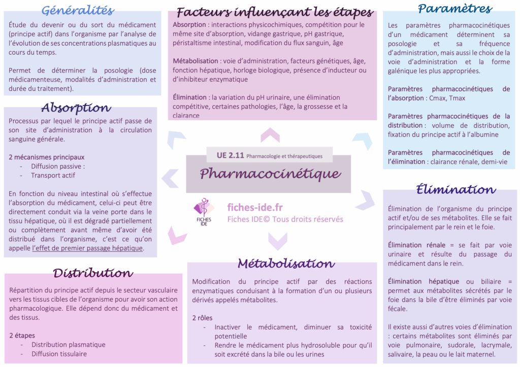pharmacocinétique