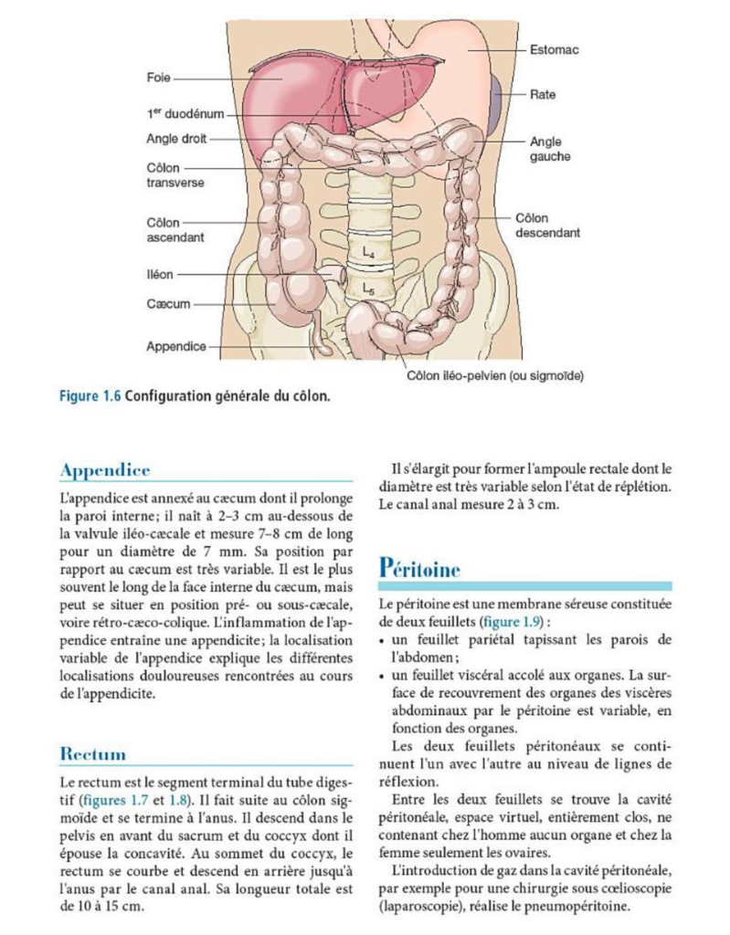 Les Cahiers Infirmiers H pato gastro Ent rologie Fiches IDE Les Cahiers Infirmiers H pato gastro Ent rologie Fiches IDE
