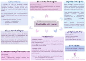 maladie de lyme