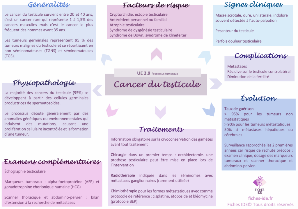 cancer du testicule