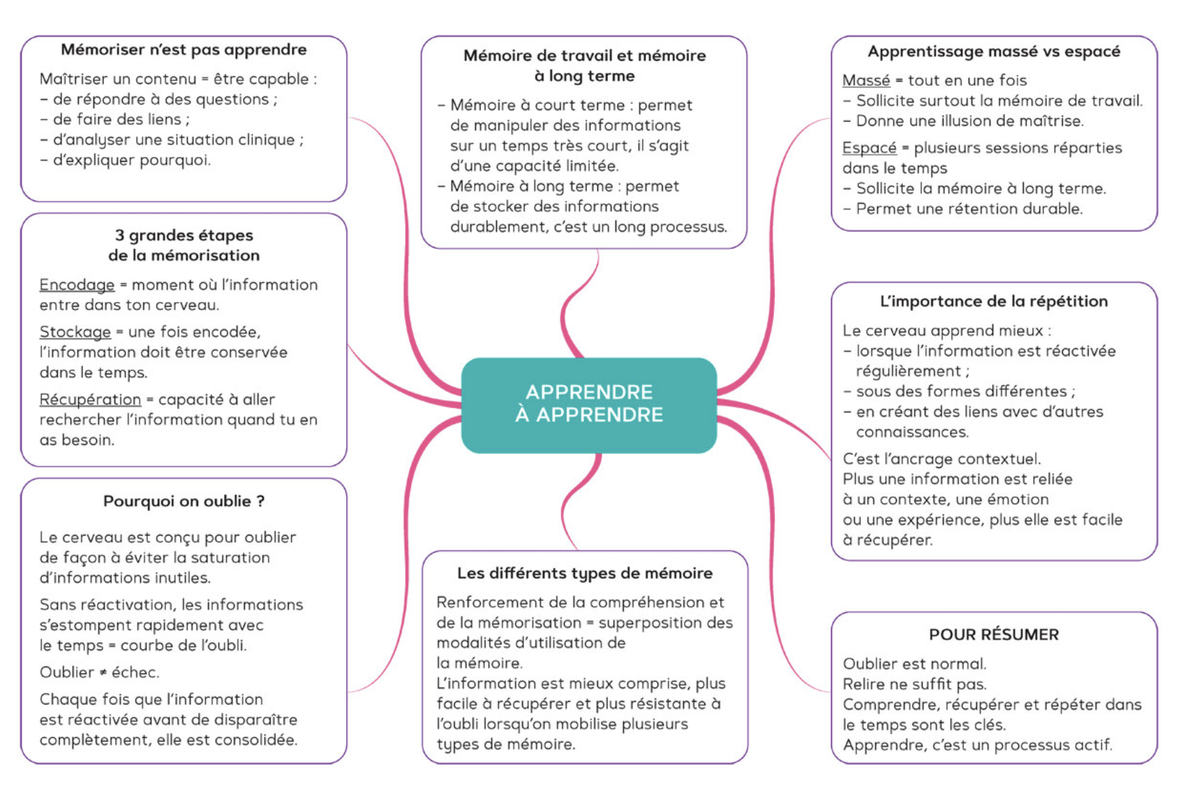 Extrait du livre IFSI mode d’emploi - Apprendre à apprendre