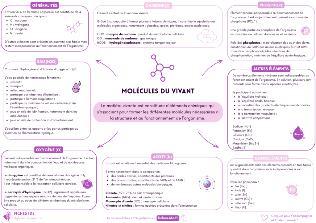 molécules du vivant