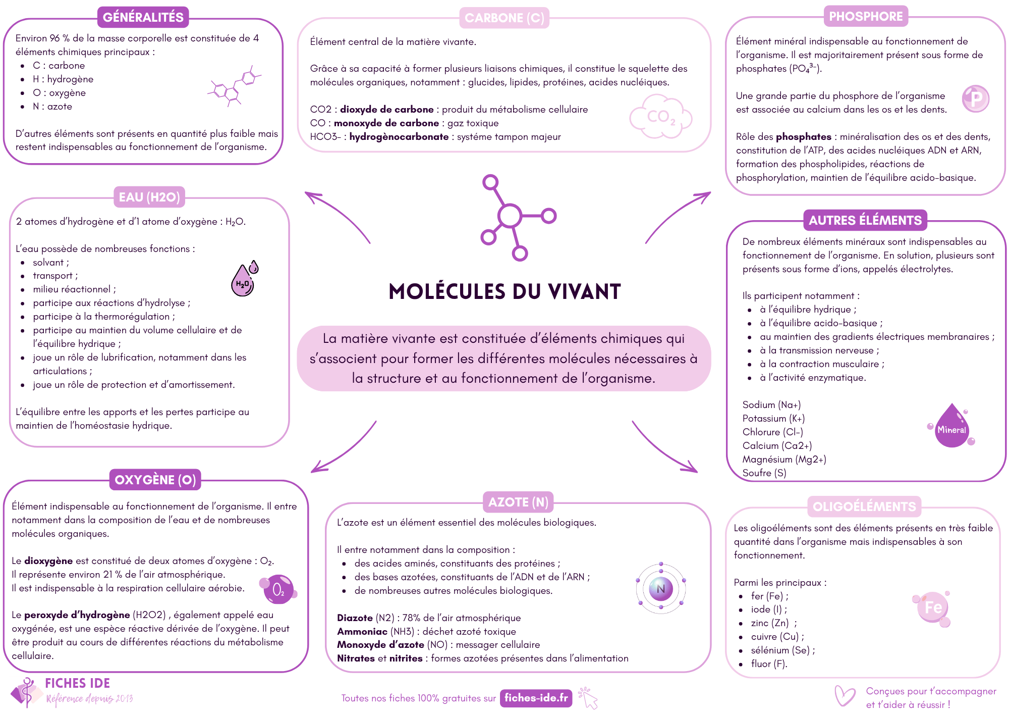 molécules du vivant