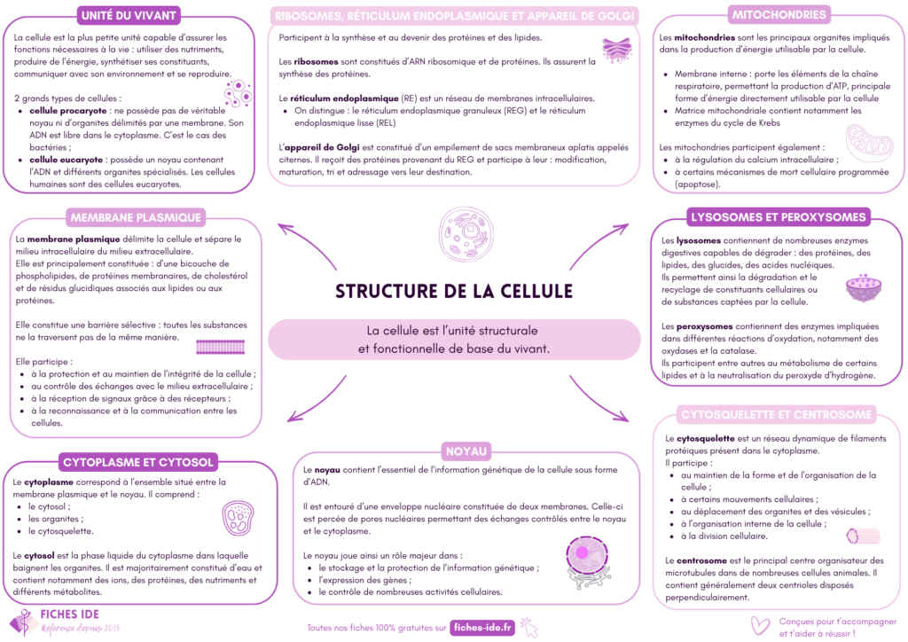 structure de la cellule