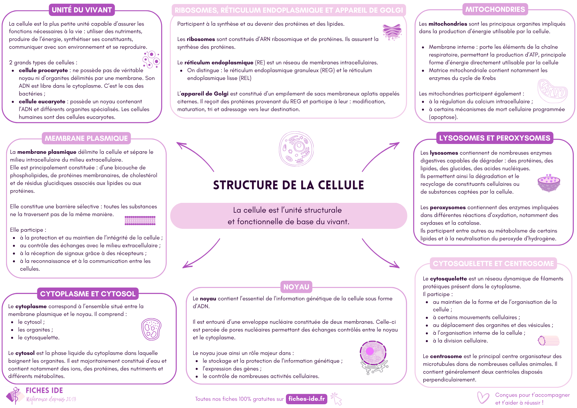 structure de la cellule