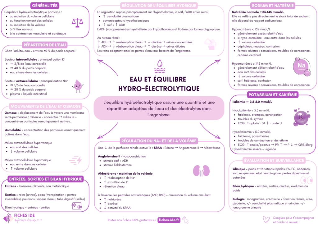 Eau et équilibre hydroélectrolytique