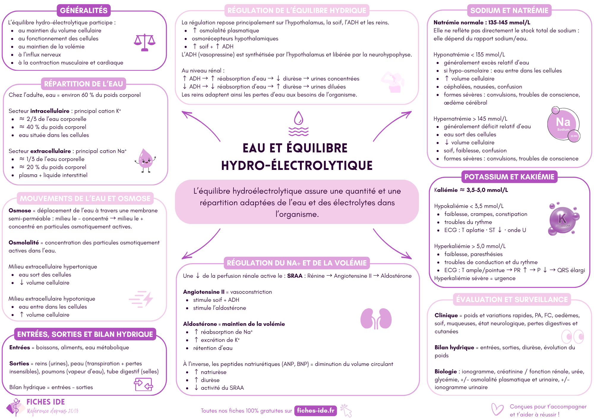 Eau et équilibre hydroélectrolytique