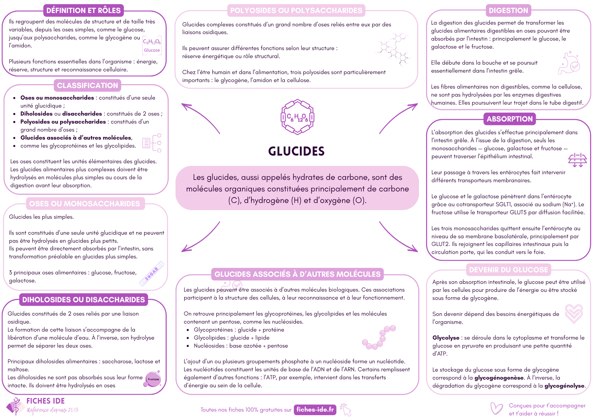 glucides