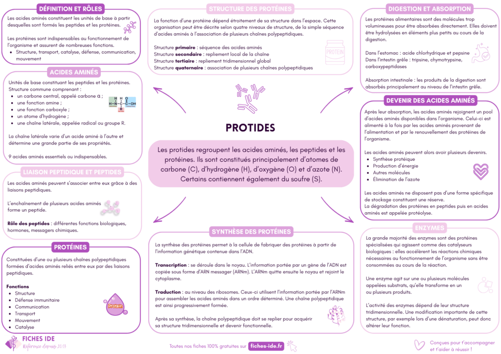 protides