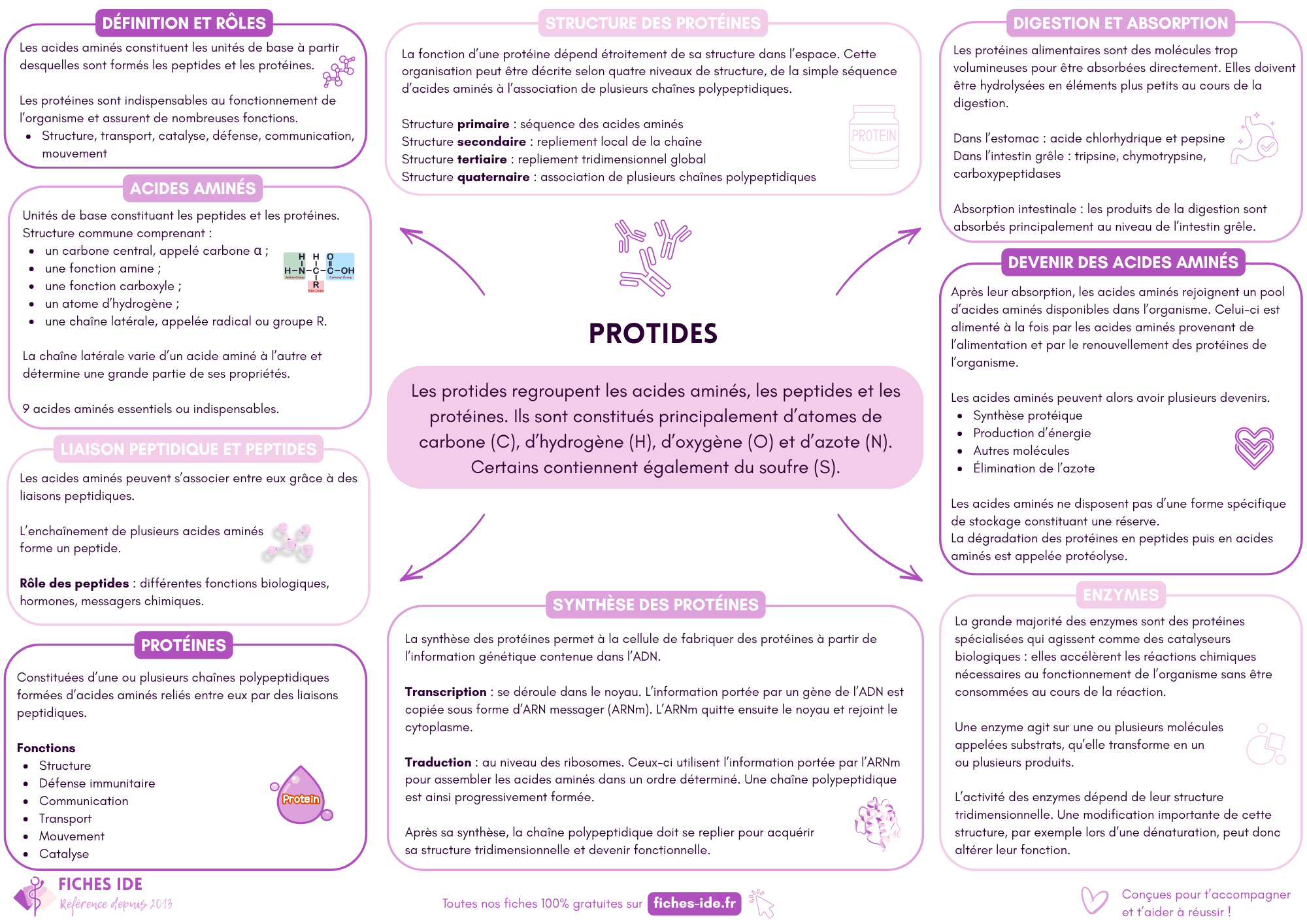 protides