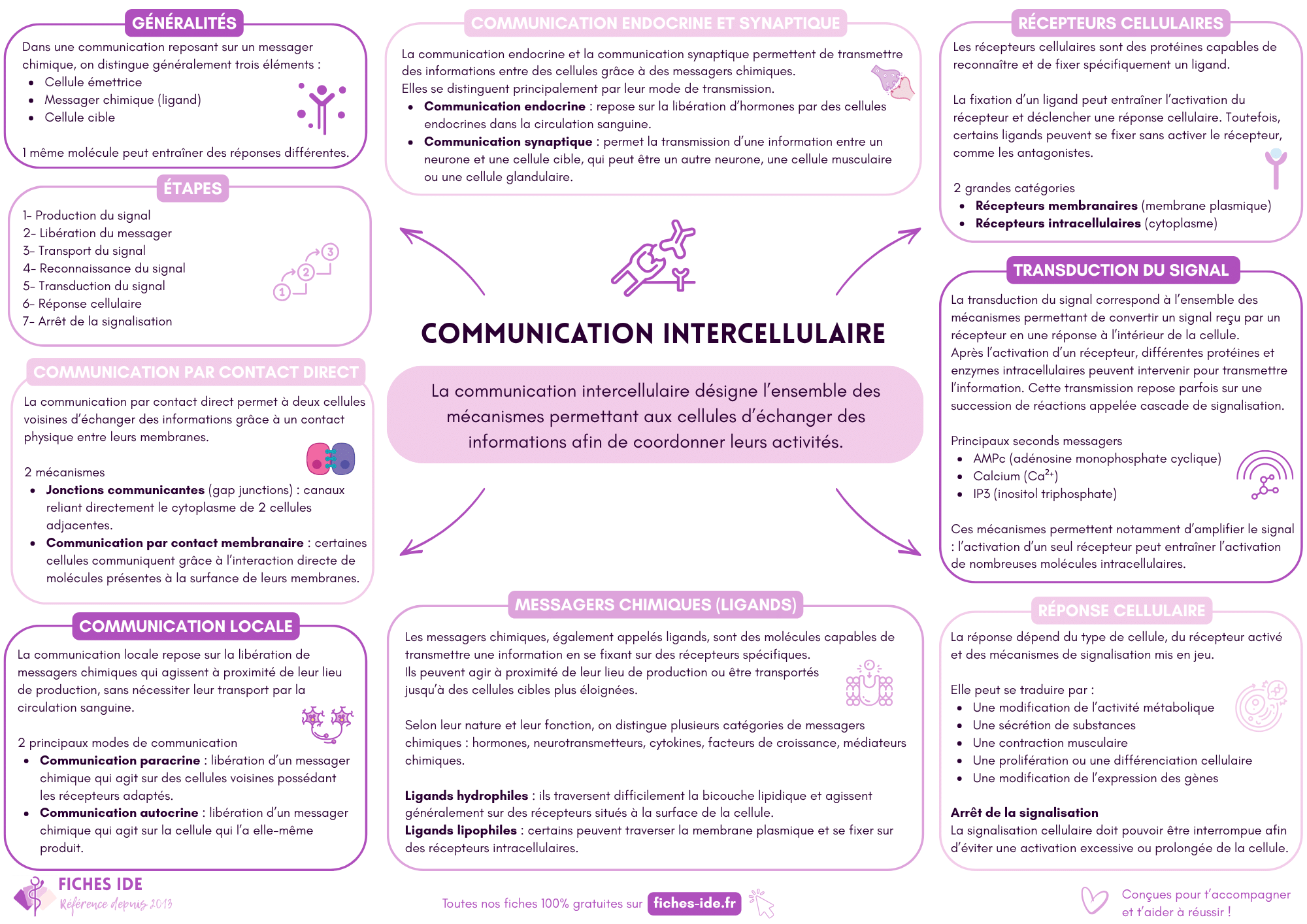 communication intercellulaire