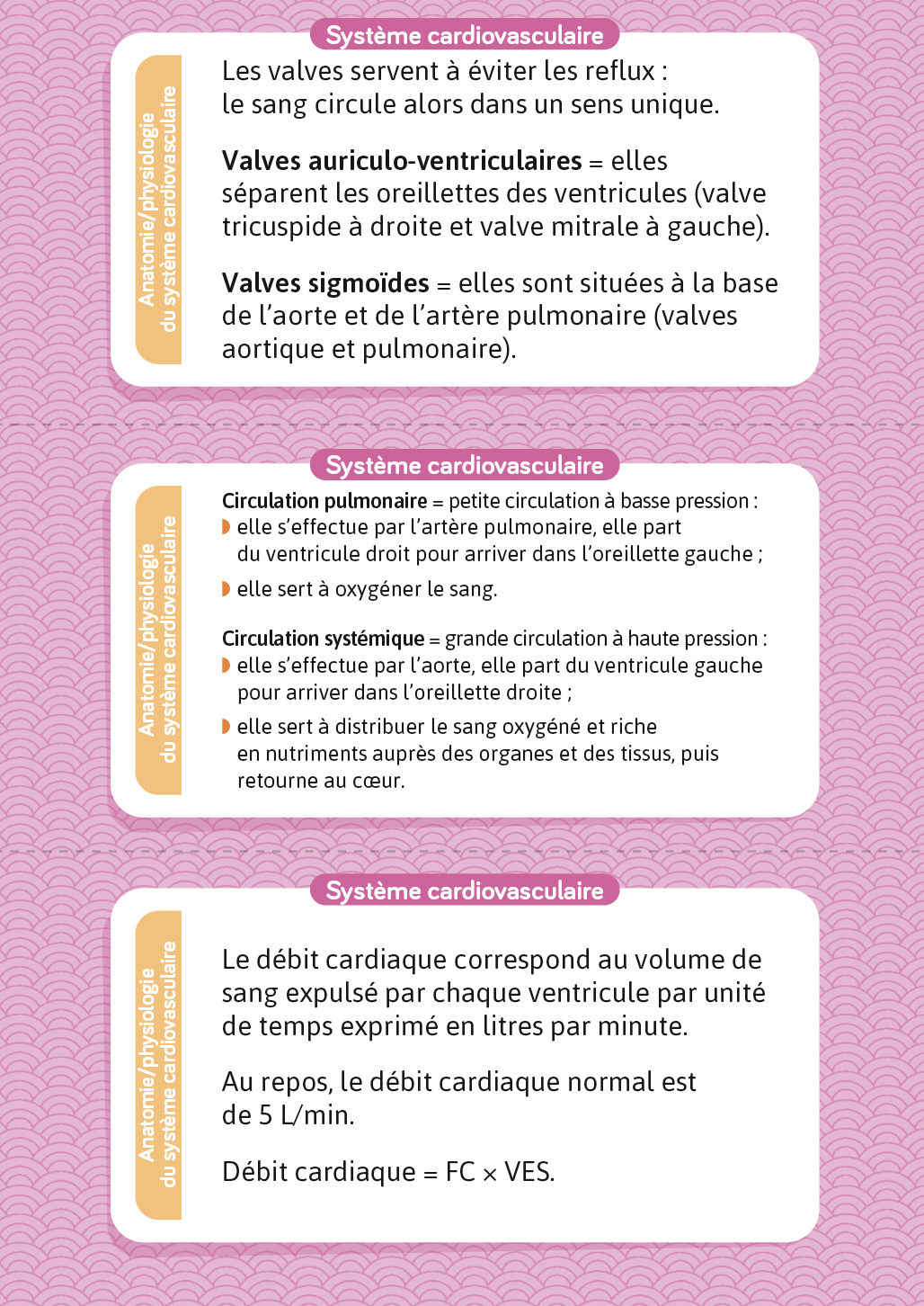 Extrait du livre Flashcards IFSI UE B.1 Sciences biomédicales : exemple de cartes avec les réponses