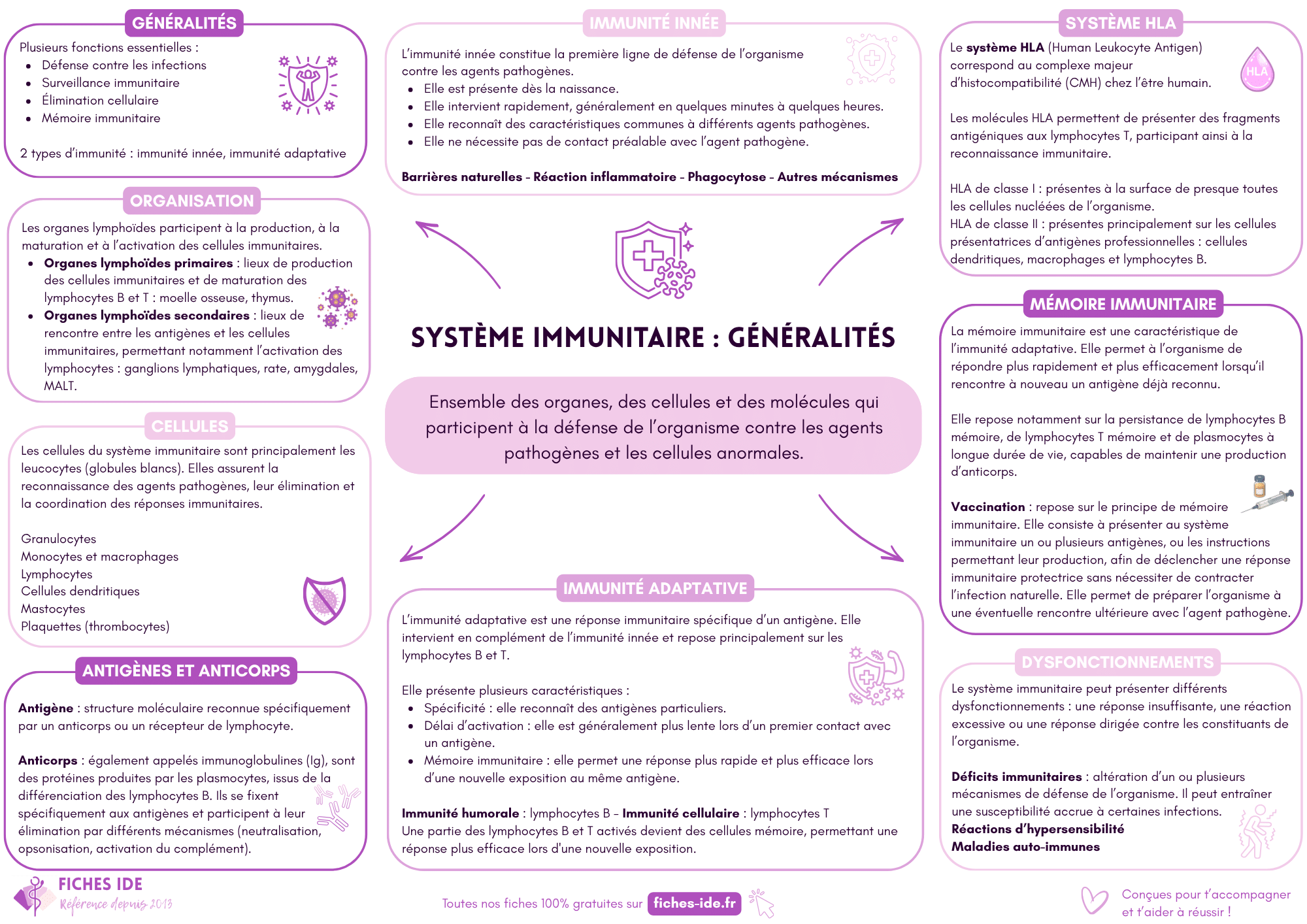 système immunitaire