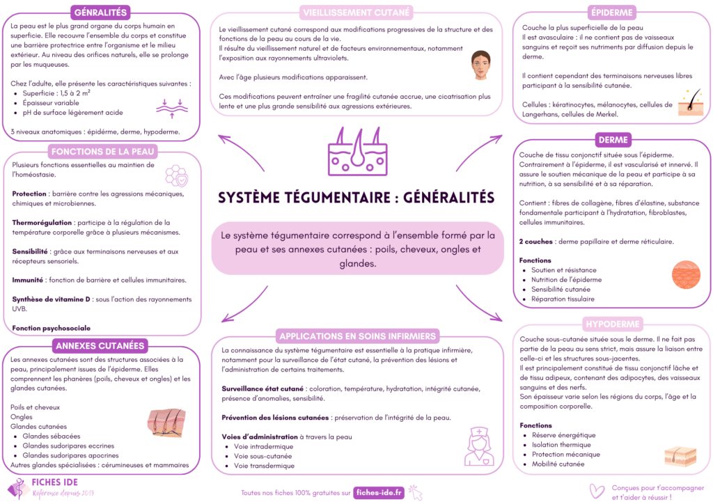 système tégumentaire